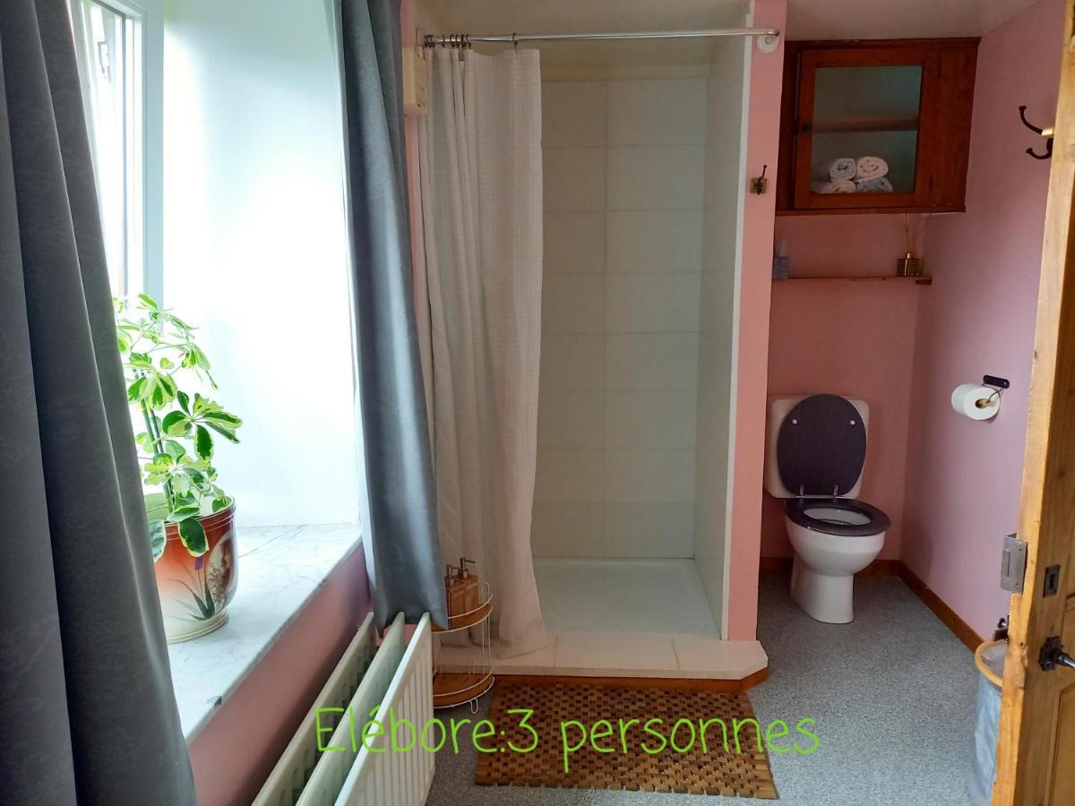 Le Wayai Apartment Sart-lez-Spa Bagian luar foto
